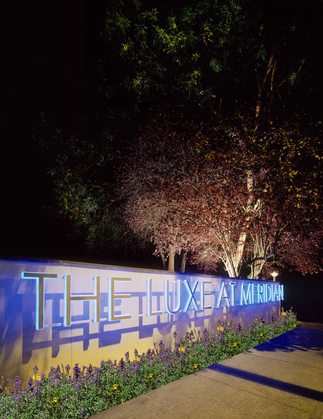 Luxe_at_Meridian_-_1